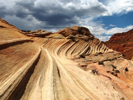 Wave und Umgebung, Coyote Buttes North