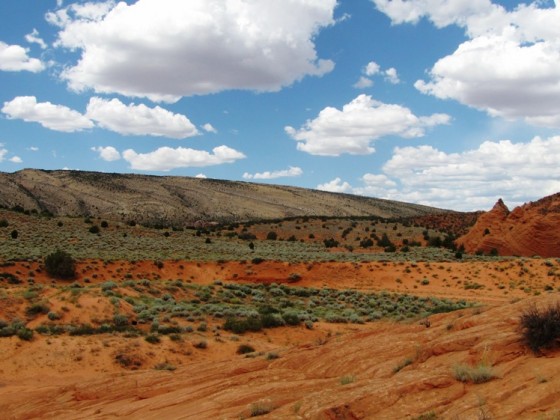 Wave und Umgebung, Coyote Buttes North