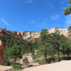 Grün im Bryce Canyon