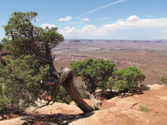 Canyonlands