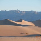 Mesquite Sand Dunes