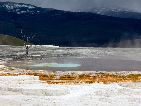 mammoth hot springs